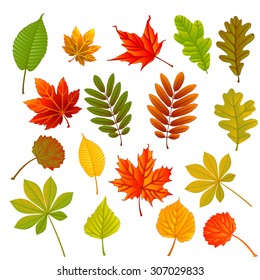 161,024 Leaf clipart Images, Stock Photos & Vectors | Shutterstock