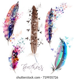 Collection of beautiful colorful feathers for design