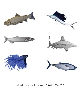 Collection Of Beautiful Colorful Fishes. Vector Illustration Isolated On White Background