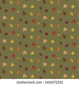 Collection beautiful colourful autumn leaves pattern isolated on green background
