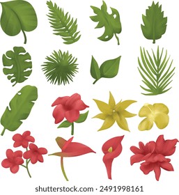 collection of beautiful decorative flowers assets