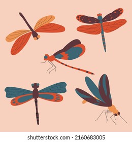 Collection of beautiful dragonflies with colorful wings. Flat vector illustration