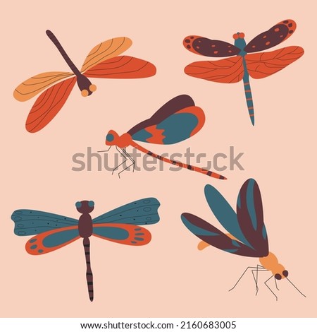 Collection of beautiful dragonflies with colorful wings. Flat vector illustration