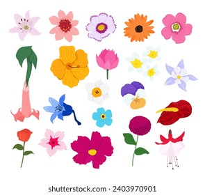 Colección de hermosos vectores de flores exóticas