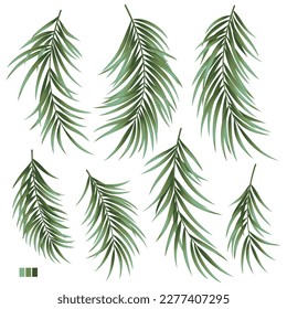 Collection of beautiful fern leaves vector material,