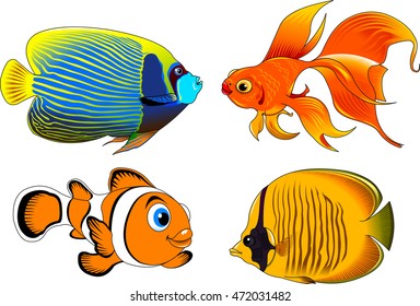 collection of beautiful fish on a white background, vector and illustration