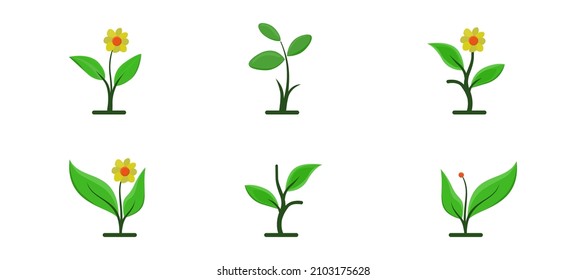 una colección de pequeños árboles hermosos y floridos