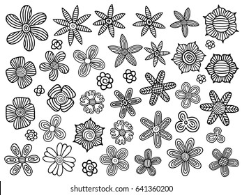 collection with beautiful flowers