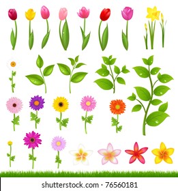 Collection Beautiful Flowers And Grass, Isolated On White Background, Vector Illustration