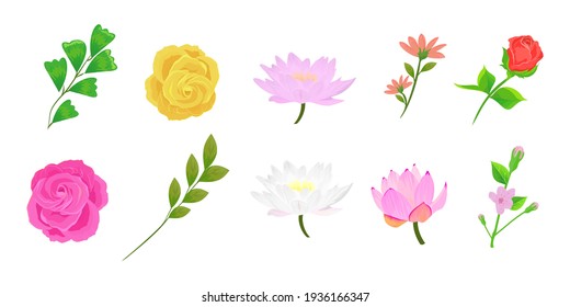 Collection of beautiful flowers handwritten vector illustration. Floral background poster template