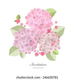 Collection a beautiful of flowers, pink hydrangea for your design
