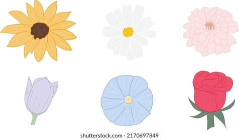 Collection of beautiful flowers with simple forms and good meanings. black-eyed susan, chamomile, zinnia, tulip, morning glory and rose. Vector illustration