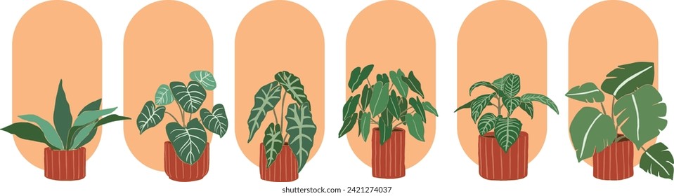 Collection of beautiful home plants and green windows on a white background. Different home indoor green decor illustrations.