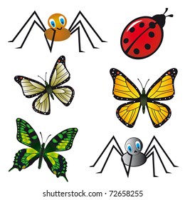 Collection of beautiful isolated insects. Vector illustration