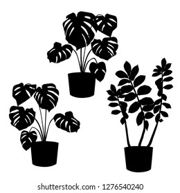 Collection of beautiful ornamental plants for garden and home, monstera, zamiokulkas, tree and foliage in pots, silhouette black color isolated on white background. Vector illustration