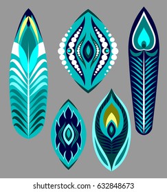 Collection of beautiful peacock feathers with different patterns