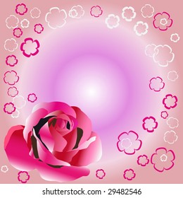 Collection of beautiful pink frames with floral ornaments and rose over waved background