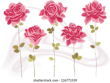 Collection of beautiful pink roses. Each rose is grouped.