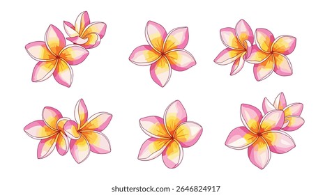Collection of Beautiful Pink and Yellow Frangipani Flowers Isolated on a White Background