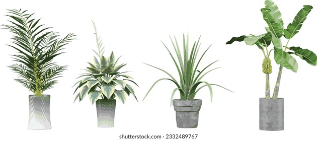 Collection of beautiful plants in ceramic pots isolated on transparent background. 3D rendering for illustration, digital composition, architecture visualization