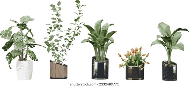 Collection of beautiful plants, lilly flower in ceramic pots isolated on transparent background, 3D rendering for illustration, digital composition, architecture visualization