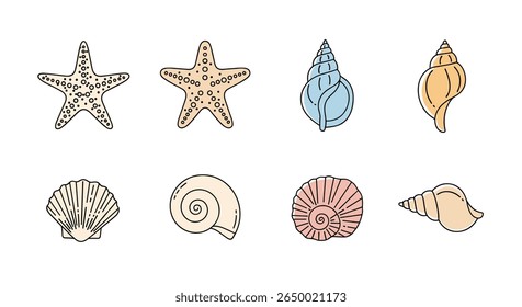 A collection of beautiful seashells and starfish found on the sandy beach shoreline