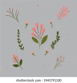 Colección de hermosas flores vectoriales de primavera