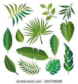 Collection of beautiful tropical leaves set.