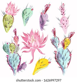 Collection of beautiful vector cactus flowers in watercolor style