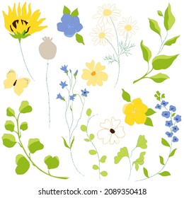 
A collection of beautiful wild grasses, wildflowers and plants isolated on a white background