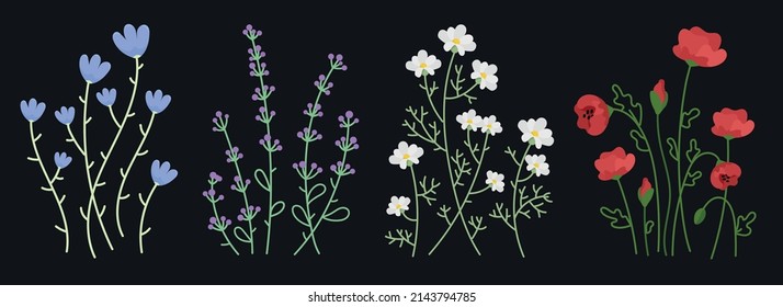 Colección de hermosas hierbas silvestres, plantas herbáceas floridas, flores florecientes, aisladas sobre fondo negro. Conjunto de ilustraciones de vector botánico dibujado a mano. Adormidera, lavanda de camuil