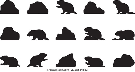 Colección de siluetas de castor en varias posiciones dinámicas y actividades sobre un fondo blanco limpio que muestra diferentes conductas y movimientos.