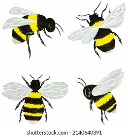 Collection of Bee, Watercolor drawing vector.