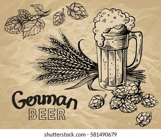 colección de cerveza, lúpulo, pulpa, orejas en ilustración vectorial de estilo gráfico