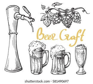 collection of beer items beer tower hops mug and glass in graphic style vector illustration