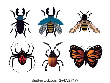coleção de abelhas, aranha, besouro e borboleta