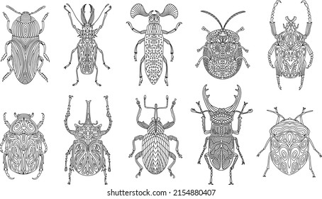 A collection of beetles and insects in a linear style. Linear vector illustration of beetles.