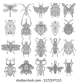 Colección de escarabajos e insectos en un estilo lineal. Ilustración vectorial lineal de escarabajos.