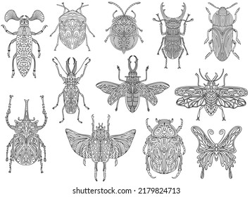 A collection of beetles and insects in a linear style. Linear vector illustration of beetles.