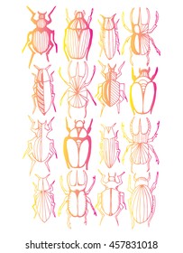Collection of beetles. Insects. Set. Line art. Black and white drawing by hand. Doodle.