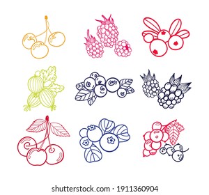 Collection of berries. Hand drawn vector stock illustration. 