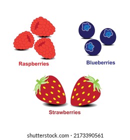 Collection  of berries isolated on a white background
