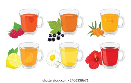 Collection of berry and herbal teas. Sea buckthorn, lemon, black currant, raspberry, chamomile and hibiscus drink in glass cup. Set of vector cartoon illustrations.