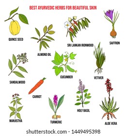 Collection of best ayurvedic herbs for beautiful skin. Hand drawn vector set of medicinal plants