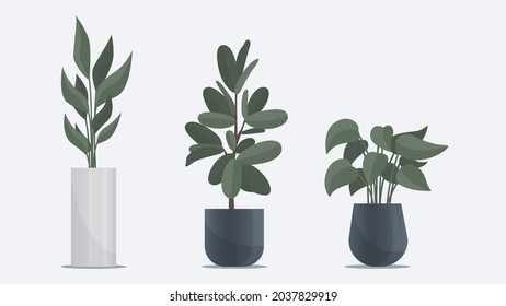 Colección de grandes plantas planas con jarrón parado en el suelo. Elementos de decoración de oficina y hogar