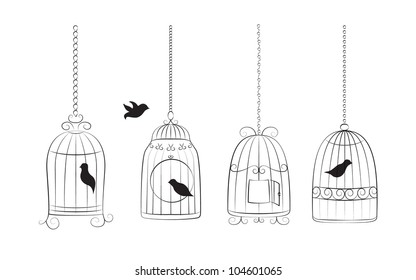 Collection of bird cages with birds isolated on white background