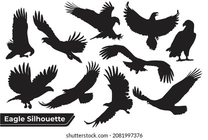 Collection of bird eagle silhouettes in different positions