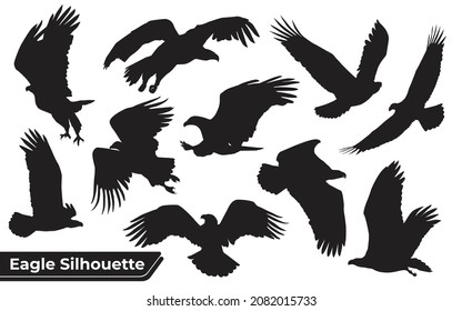 Collection of bird eagle silhouettes in different positions