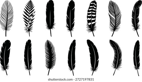 Coleção de silhuetas de pena de pássaro, ícones decorativos de pena, elementos de pluma tribal e asas artísticas gráficos vetoriais de moda para design.