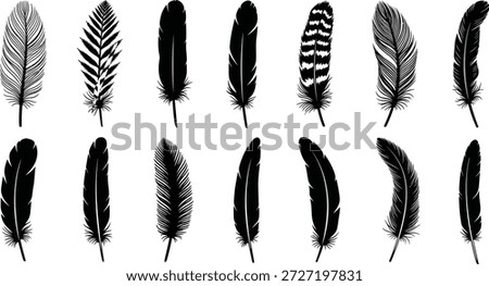 Collection of bird feather silhouettes, decorative quill icons, tribal plume elements and artistic wings fashion vector graphics for design.